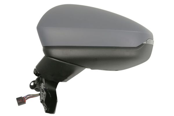 Blic Buitenspiegel 5402-25-2320313P