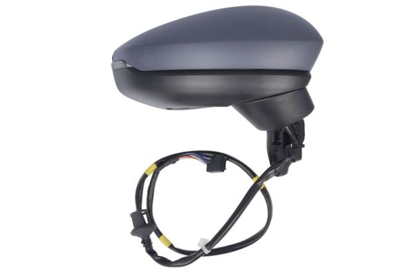 Blic Buitenspiegel 5402-25-2320314P