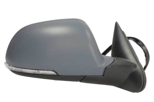 Blic Buitenspiegel 5402-43-1312311P