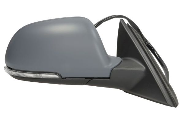 Blic Buitenspiegel 5402-43-1318311P