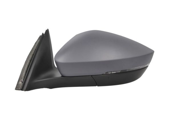 Blic Buitenspiegel 5402-43-1319310P