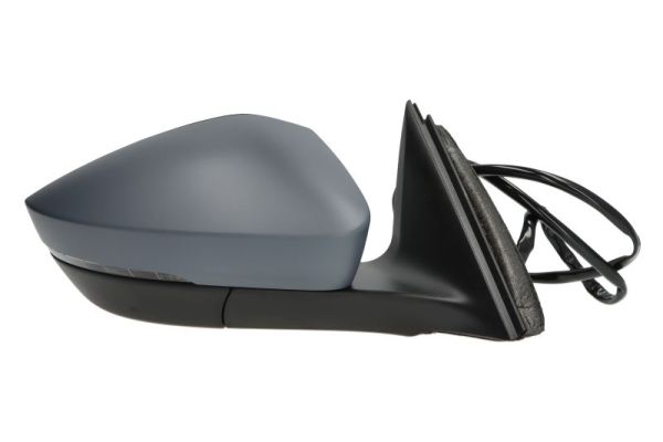 Blic Buitenspiegel 5402-43-1319311P