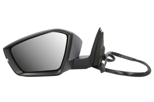 Blic Buitenspiegel 5402-43-1319312P