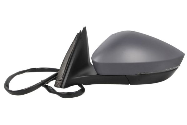 Blic Buitenspiegel 5402-43-1319312P