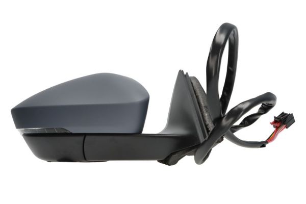 Blic Buitenspiegel 5402-43-1319313P