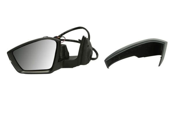 Blic Buitenspiegel 5402-43-1319314P