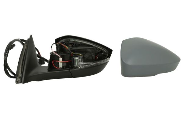 Blic Buitenspiegel 5402-43-1319314P