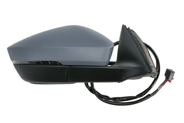 Blic Buitenspiegel 5402-43-1319315P