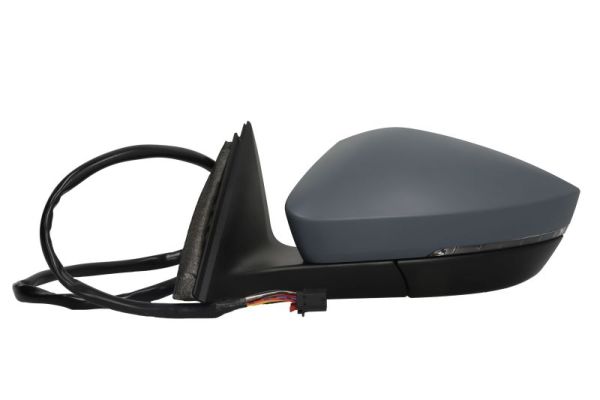 Blic Buitenspiegel 5402-43-1319316P