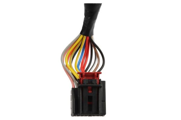 Blic Buitenspiegel 5402-43-1319316P