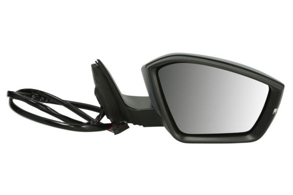 Blic Buitenspiegel 5402-43-1319317P