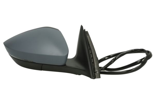 Blic Buitenspiegel 5402-43-1319317P