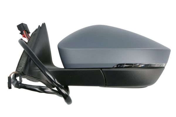 Blic Buitenspiegel 5402-43-1319318P