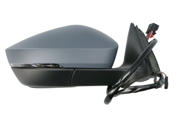 Blic Buitenspiegel 5402-43-1319319P