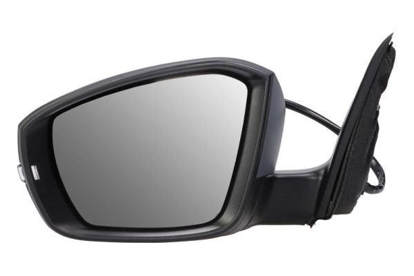 Blic Buitenspiegel 5402-43-1923310P