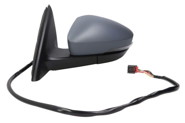 Blic Buitenspiegel 5402-43-1923310P