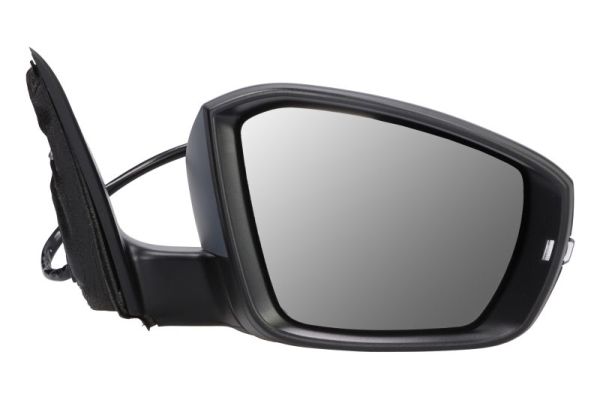 Blic Buitenspiegel 5402-43-1923311P