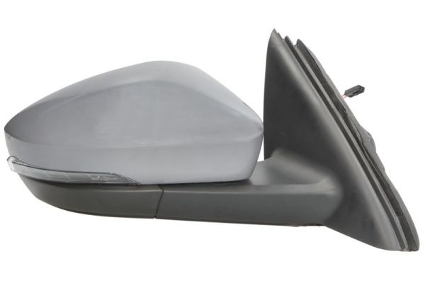 Blic Buitenspiegel 5402-43-1923313P