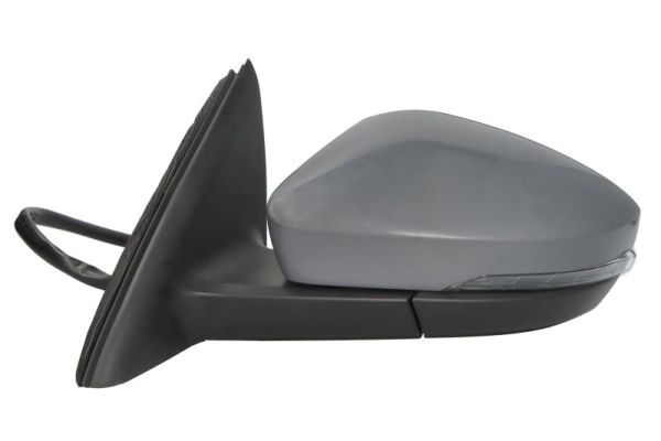 Blic Buitenspiegel 5402-43-1923314P