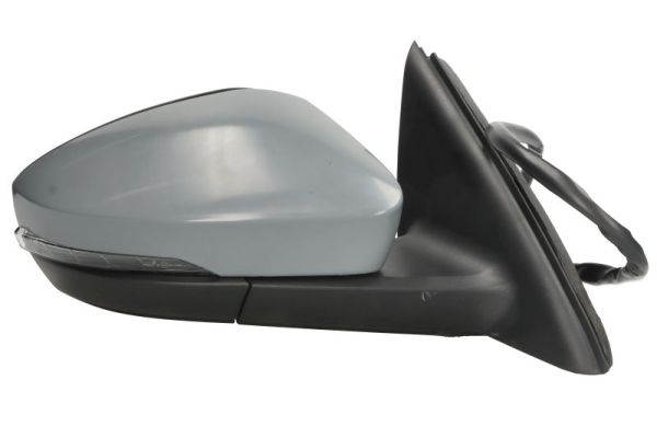 Blic Buitenspiegel 5402-43-1923315P