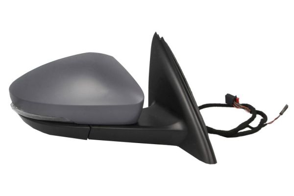 Blic Buitenspiegel 5402-43-1923317P