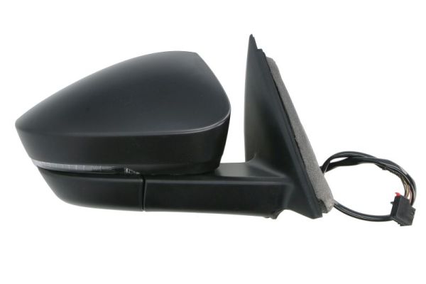 Blic Buitenspiegel 5402-43-1925311P