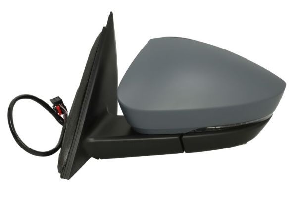 Blic Buitenspiegel 5402-43-1925312P