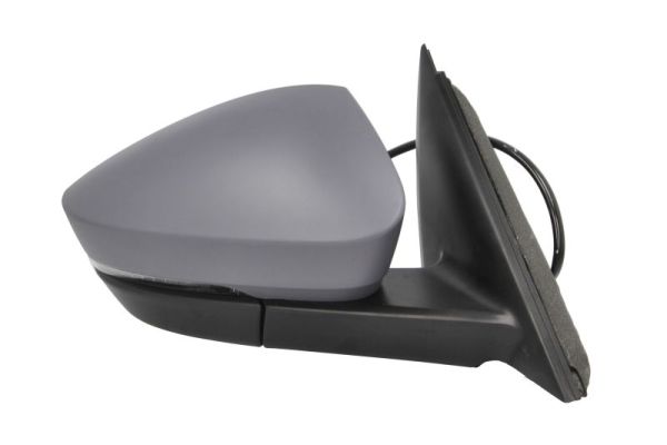 Blic Buitenspiegel 5402-43-1925313P