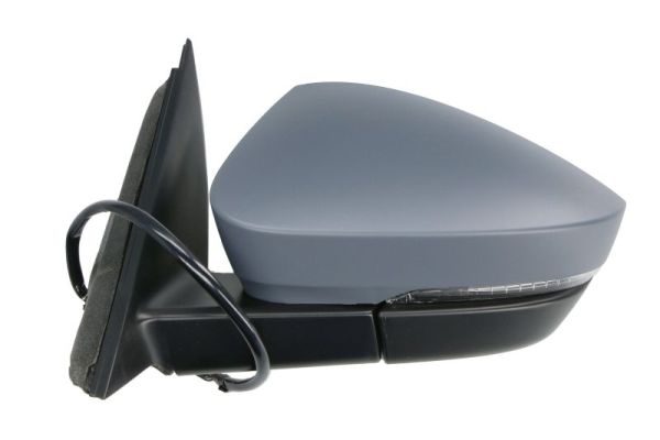 Blic Buitenspiegel 5402-43-1925314P