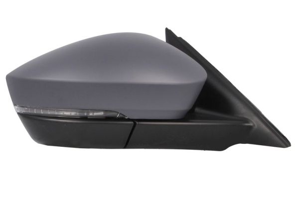 Blic Buitenspiegel 5402-43-1925315P