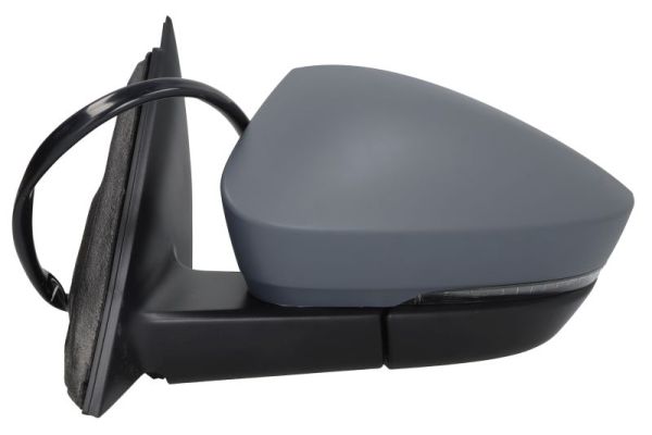 Blic Buitenspiegel 5402-43-1925316P