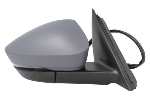 Blic Buitenspiegel 5402-43-1925317P