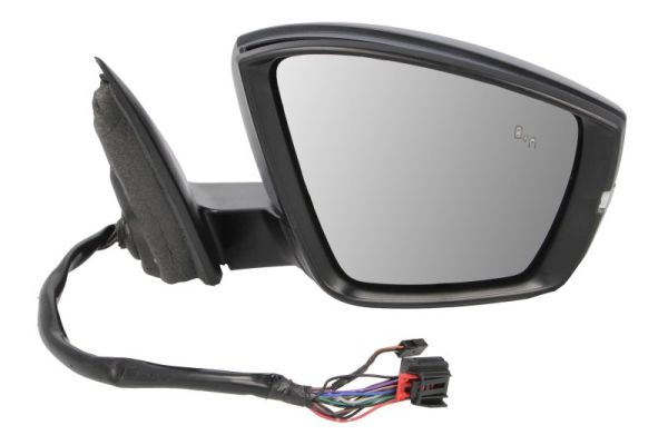 Blic Buitenspiegel 5402-43-1925319P