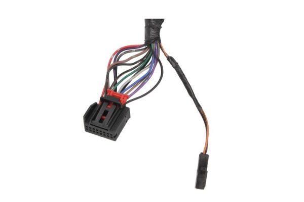 Blic Buitenspiegel 5402-43-1925319P