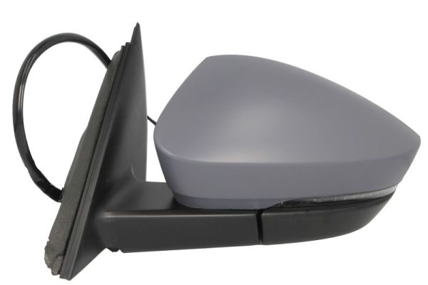 Blic Buitenspiegel 5402-43-1925320P