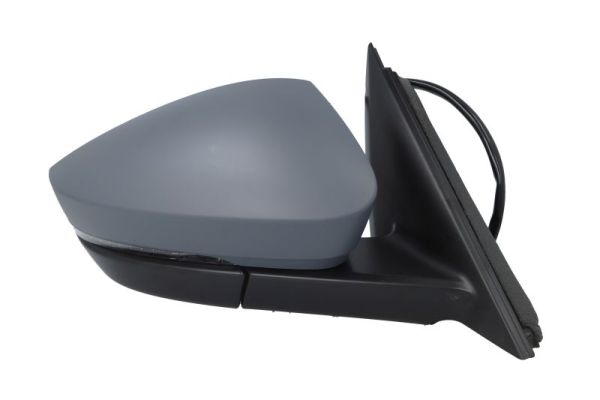 Blic Buitenspiegel 5402-43-1925321P