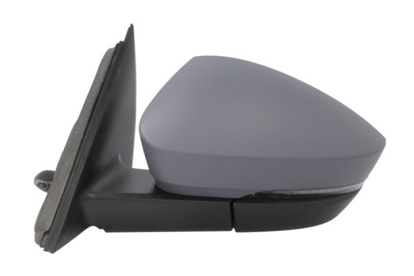 Blic Buitenspiegel 5402-43-1925322P