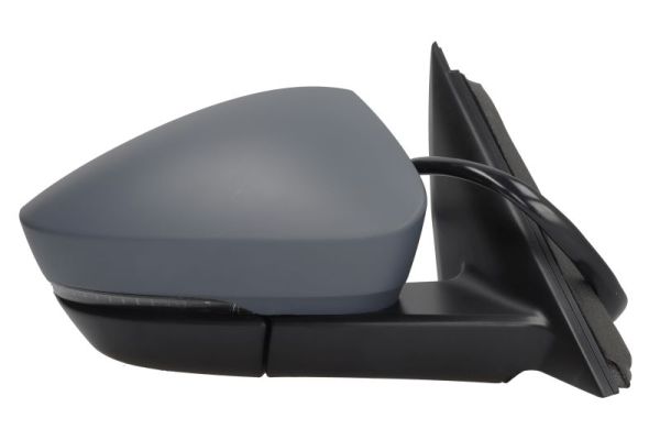 Blic Buitenspiegel 5402-43-1925323P