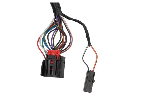 Blic Buitenspiegel 5402-43-1925323P