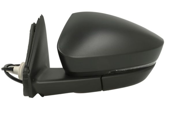 Blic Buitenspiegel 5402-43-1926310P