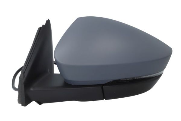 Blic Buitenspiegel 5402-43-1926314P