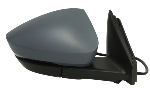 Blic Buitenspiegel 5402-43-1926315P