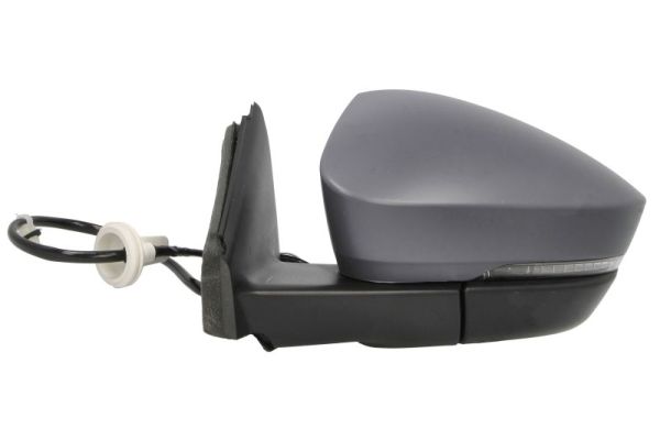 Blic Buitenspiegel 5402-43-1926316P