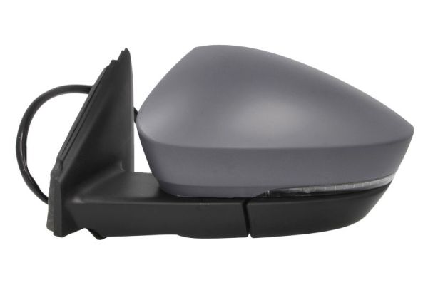 Blic Buitenspiegel 5402-43-1926318P