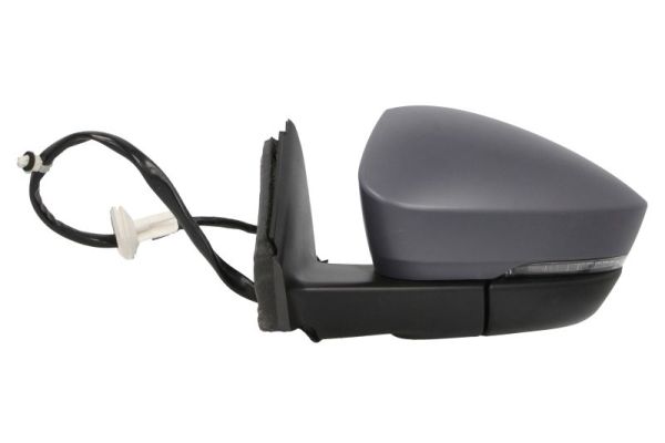 Blic Buitenspiegel 5402-43-1926320P