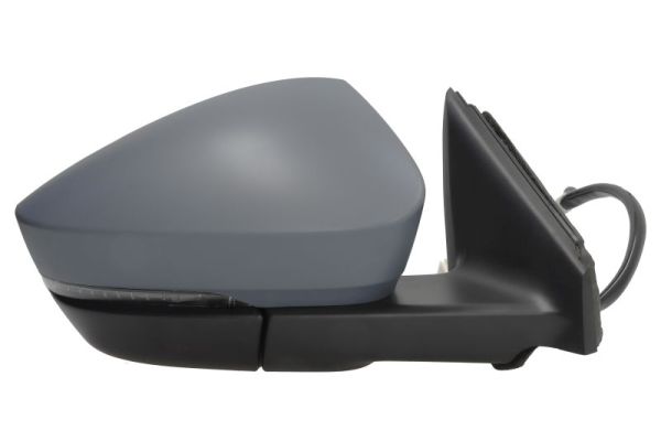 Blic Buitenspiegel 5402-43-1926321P