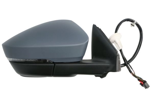 Blic Buitenspiegel 5402-43-1926323P