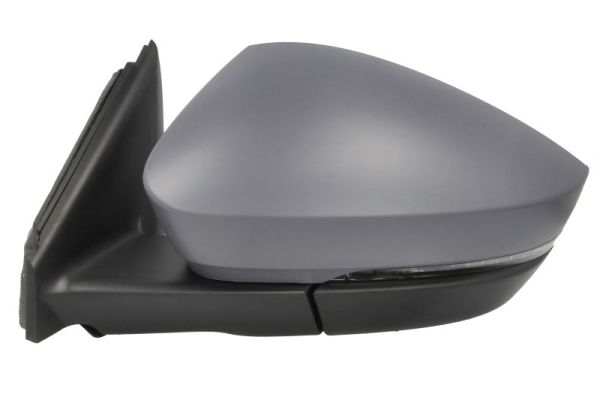 Blic Buitenspiegel 5402-43-1926324P