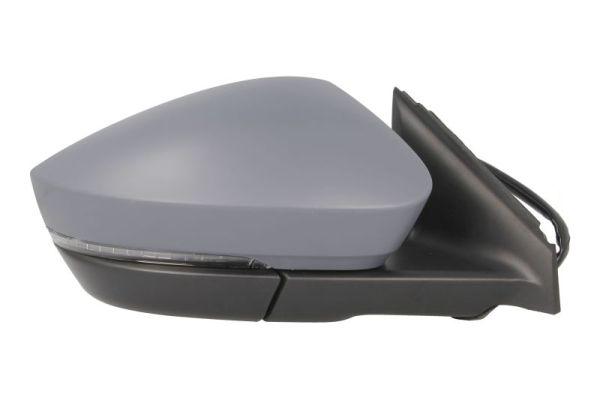 Blic Buitenspiegel 5402-43-1926325P