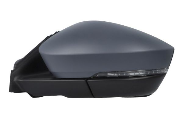 Blic Buitenspiegel 5402-43-1926326P